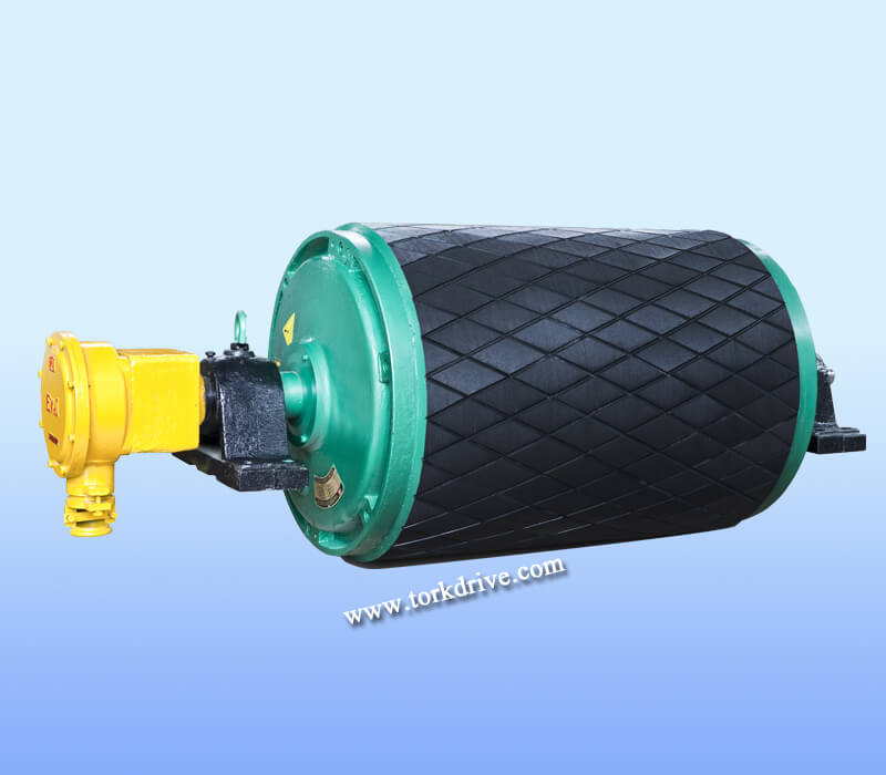 Explosion proof Electric Roller